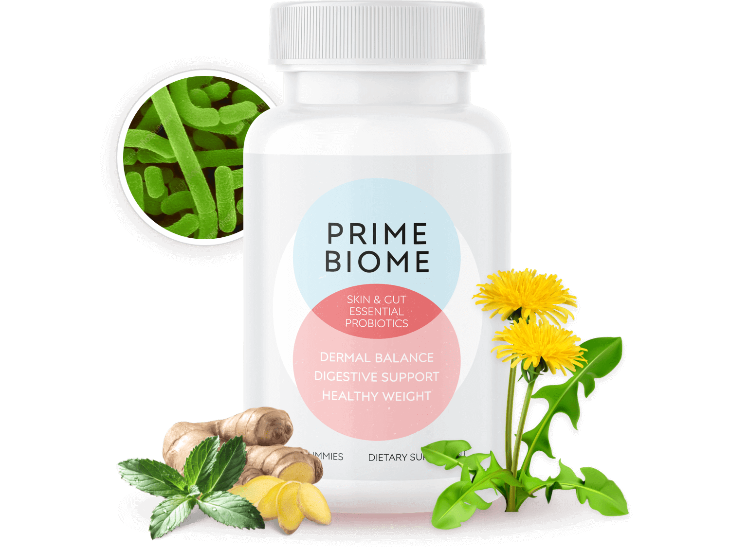 PrimeBiome buy